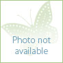 
 
 
 Nanny in Budapest, Budapest, Hungary looking for a job: 3777720